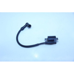 Bobine d'allumage MBK CW 50 BOOSTER 2004 à 2018