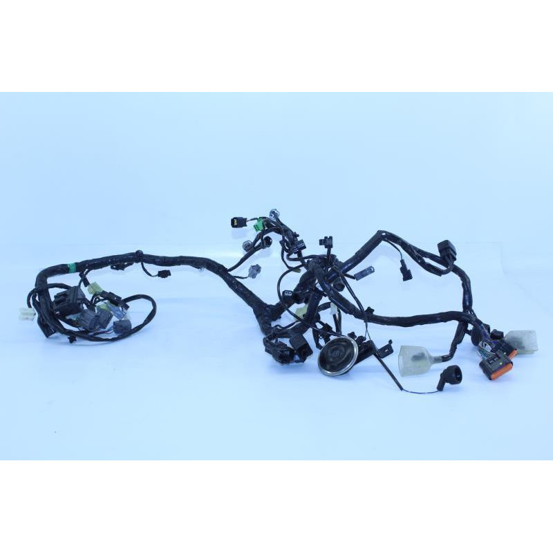 Faisceau électrique KAWASAKI NINJA 300 2013 à 2015