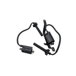 Bobine d'allumage YAMAHA TDM 900 ABS 2012 à 2017