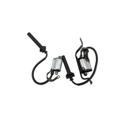 Bobine d'allumage YAMAHA TDM 900 ABS 2002 à 2014