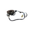 Stator YAMAHA TDM 900 ABS 2002 à 2014