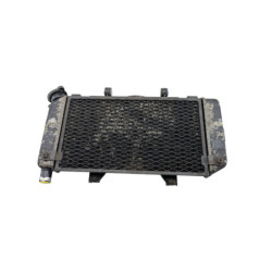 Radiateur d'eau YAMAHA TDM 900 ABS 2002 à 2014