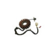 Stator HONDA NSS 250 FORZA ABS 2005 à 2006