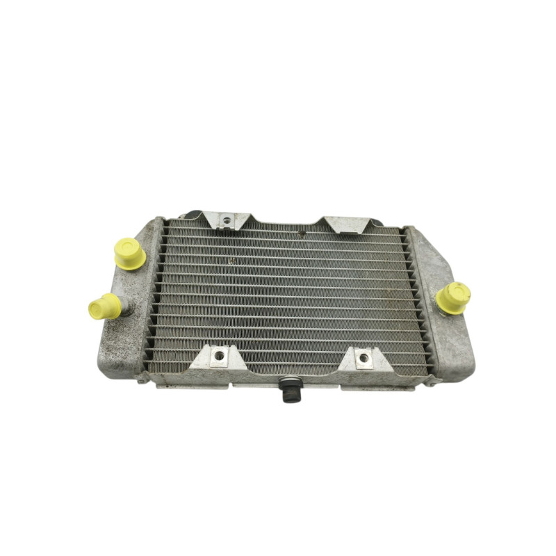 Radiateur d'eau HONDA NSS 250 FORZA ABS 2005 à 2006