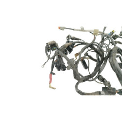 Faisceau électrique DUCATI MULTISTRADA 1000 DS 2003 à 2006