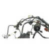 Faisceau électrique DUCATI MONSTER 900 2001 à 2002
