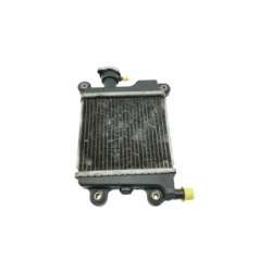 Radiateur d'eau MBK YP 125 SKYLINER S 2014 à 2015