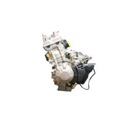 Moteur HONDA CBF 600 N 2008 à 2012