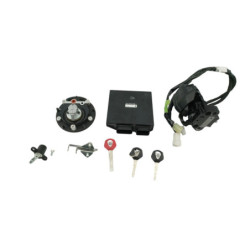 Kit neiman complet codé YAMAHA NIKEN 900 GT ABS 2019 à 2022