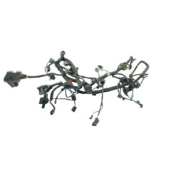 Faisceau électrique KAWASAKI ER6 650 N 2005 à 2008