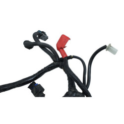 Faisceau électrique MASH SEVENTY FIVE 125 2017 à 2020