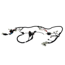 Faisceau électrique ORCAL ARIOS 50 10 2021 à 2024