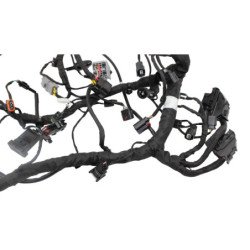 Faisceau électrique CF MOTO NK 800 SPORT ABS 2023 à 2025