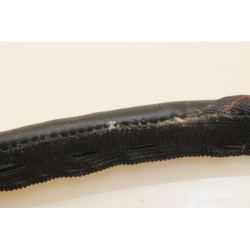 Selle JM MOTORS SANTANA 50 2014 à 2020