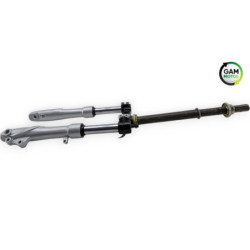 Fourche complète YADEA SXT 50 GEKKO V3 2018 à 2024