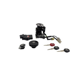 Kit neiman complet codé YAMAHA XP 530 TMAX ABS 2012 à 2016