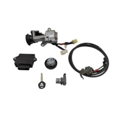 Kit neiman complet codé YAMAHA YPR 250 XMAX 2010 à 2012