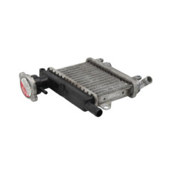 Radiateur d'eau YAMAHA YN 50 NEOS 2007 à 2018