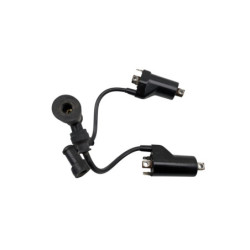 Bobine d'allumage SUZUKI GS 500 2003 à 2006