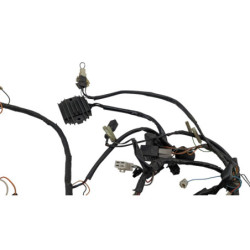Faisceau électrique SUZUKI GS 500 2003 à 2006