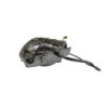 Stator SUZUKI GSE 500 2001 à 2002