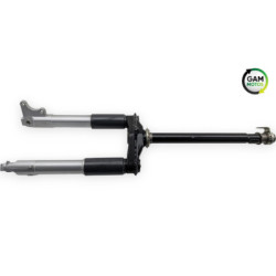 Fourche complète PIAGGIO ZIP 50 2013 à 2017