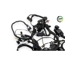 Faisceau électrique BENDA LFC 700 2023 à 2025