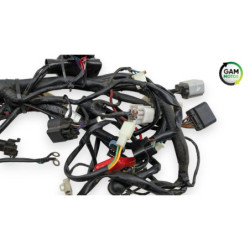 Faisceau électrique UNIVERSAL BIKE TY 50 QT 2020 à 2022