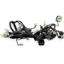 Faisceau électrique UNIVERSAL BIKE TY 50 QT 2020 à 2022