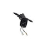 Support de plaque CF MOTO SR 450 ABS 2023 à 2026