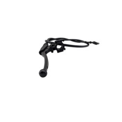Cocotte gauche BRIXTON BX 125 2020 à 2022