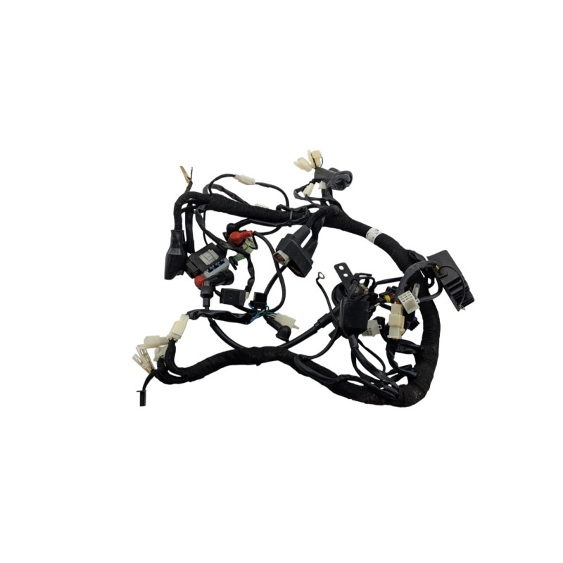 Faisceau électrique BRIXTON BX 125 2020 à 2022