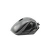 Réservoir d'essence TRIUMPH STREET TRIPLE 765 R ABS 2020 à 2023