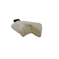 Vase d'expansion TRIUMPH STREET TRIPLE 765 R ABS 2020 à 2023