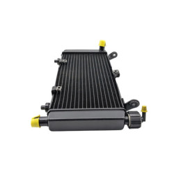 Radiateur d'eau MOTO MORINI XCAPE 650 2021 à 2025