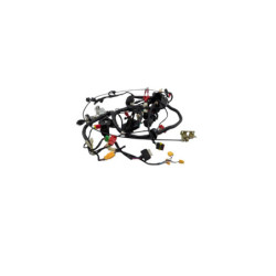 Faisceau électrique MOTRON BREEZY 50 2021 à 2026