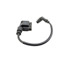 Bobine d'allumage TGB BLADE 550 SE FI 2013 à 2014