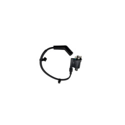 Bobine d'allumage YAMAHA YPR 125 XMAX ABS 2024 à 2025