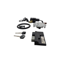 Kit neiman complet codé HONDA CBR 1000 RR FIREBLADE 2006 à 2007